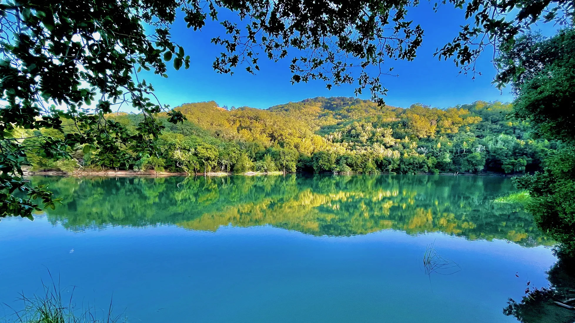 View of Quicksilver Park hillsides and Almaden Reservoir